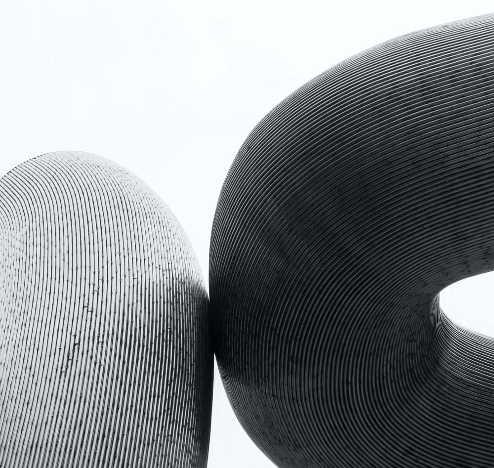 Professional companions at social gathering